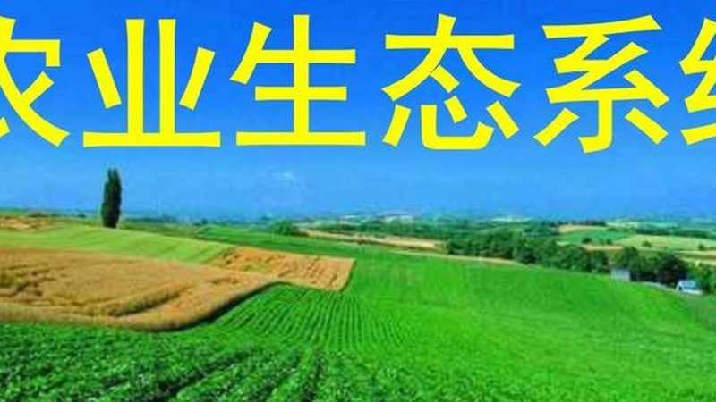 农田墒情监测：精准农业的“晴雨表