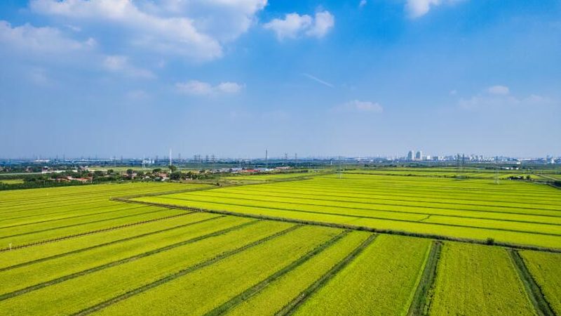 农业种植机械：价格之外，你还需要了解这些