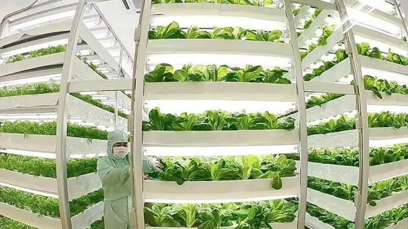 果蔬配送报价单格式：Word文档中的关键要素解析
