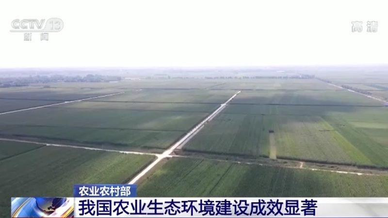 选址关键：揭秘农业公司粮食种植基地的黄金法则**