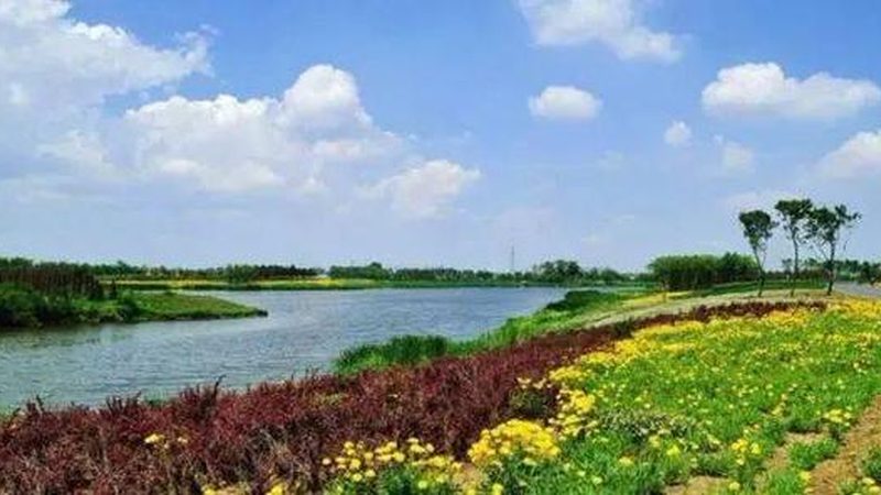 小麦病虫害防治的价格受多种因素影响，主要包括：