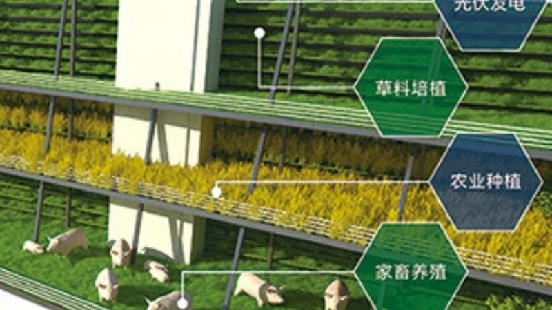 家庭有机蔬菜种植，这些标准你了解吗？**