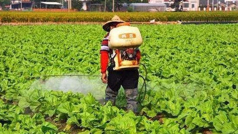 线上线下融合，农产品定价新格局