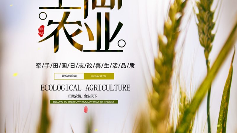 揭秘大棚种植技术，探寻十大品牌背后的奥秘